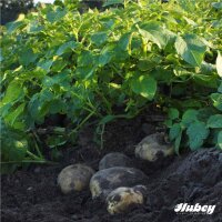Hubey Geflügeldung 3kg biologischer Naturdünger Universaldünger und Bodenverbesserer