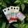 SpinnmilbenPANIK – 150 Florfliegenlarven & 5 Phyto Vital Tüten
