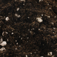 BioBizz All Mix Peat Free Erde – 50 L Sack –...