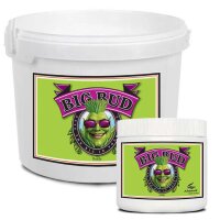 Advanced Nutrients  Big Bud Powder 500g