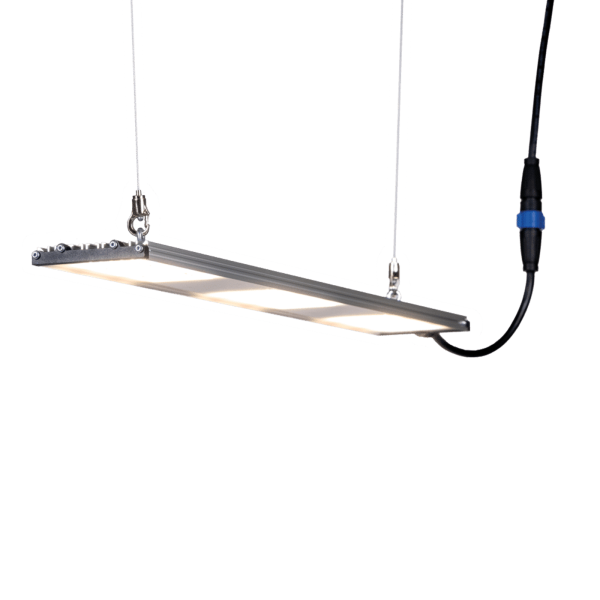 SANlight STIXX 2-60 47 W – LED Pflanzenbeleuchtung