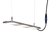 SANlight STIXX 2-60 47 W – LED Pflanzenbeleuchtung