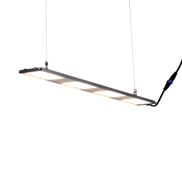 SANlight STIXX 4-100 94 W – LED Pflanzenbeleuchtung